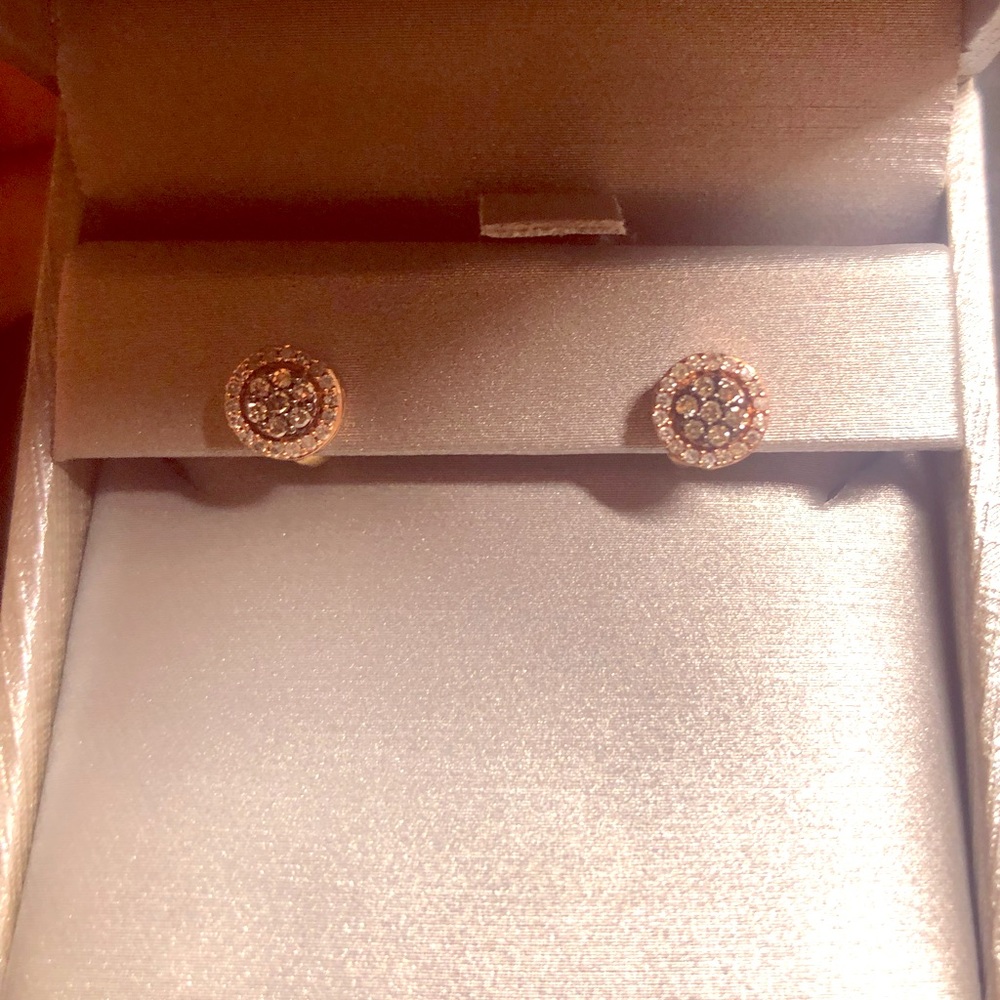Zales earrings never worn by anyone.